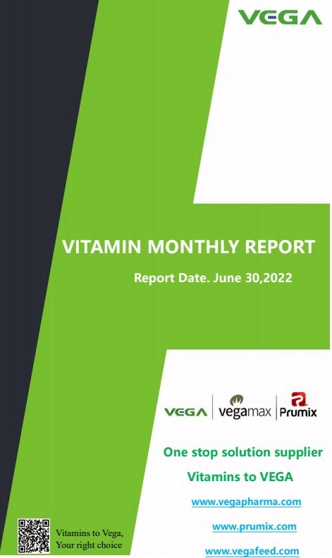 Vitamin Monthly Report.png